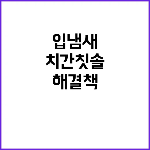 입냄새 해결책 치간칫솔과 치실의 비밀!