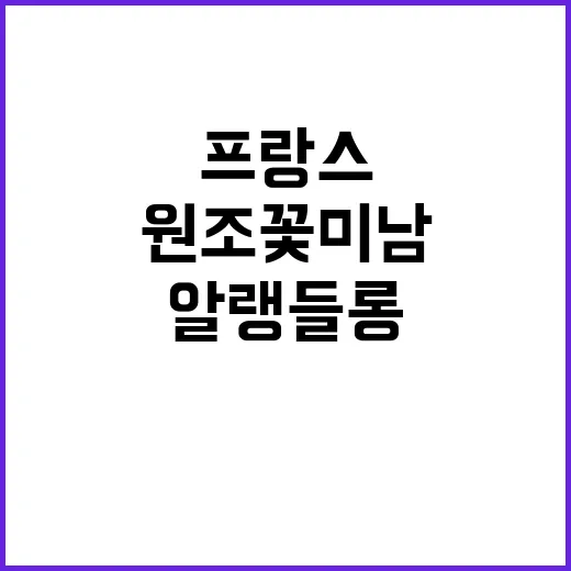 알랭 들롱 프랑스 …