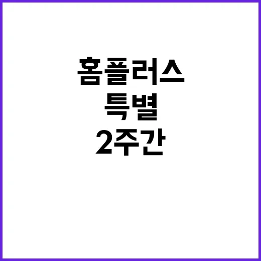 금사과 홈플러스 2주간 특별 이벤트 진행!