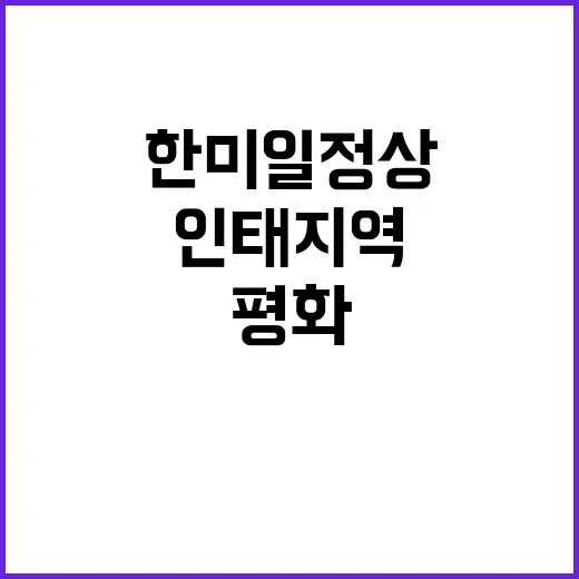 인태 지역 평화 한미일 정상의 다짐 공개!