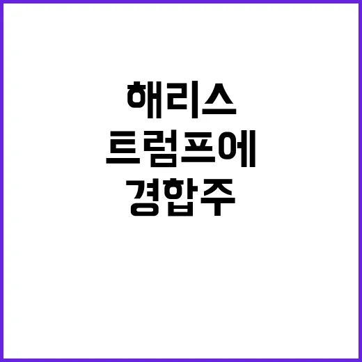 해리스 트럼프에 승…