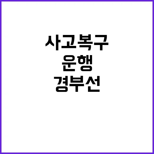 정봉주 탈락 김근식…