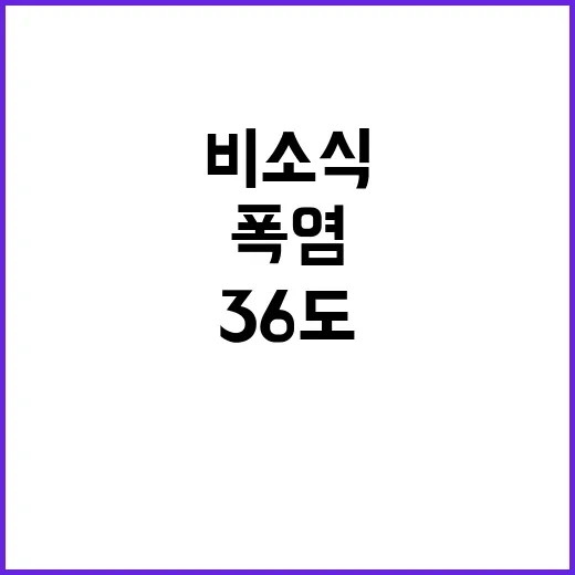 비소식 폭염 지속 내일 기온 36도 예상!