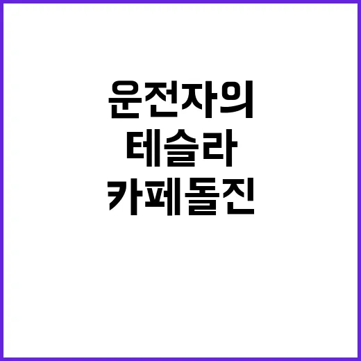 테슬라 카페 돌진…운전자의 충격 고백!