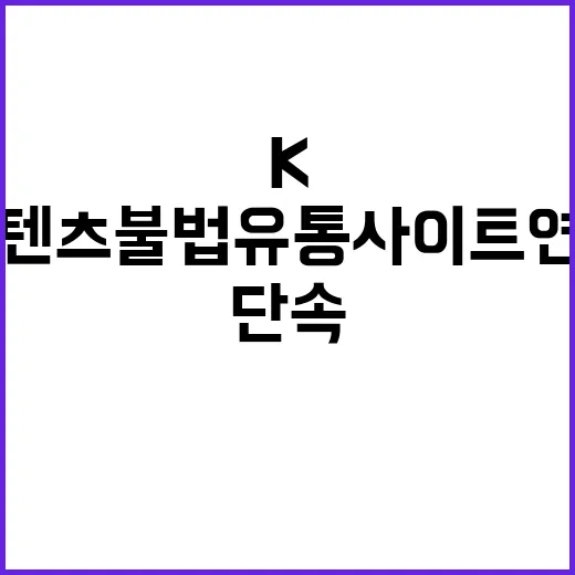 K콘텐츠 불법유통 …