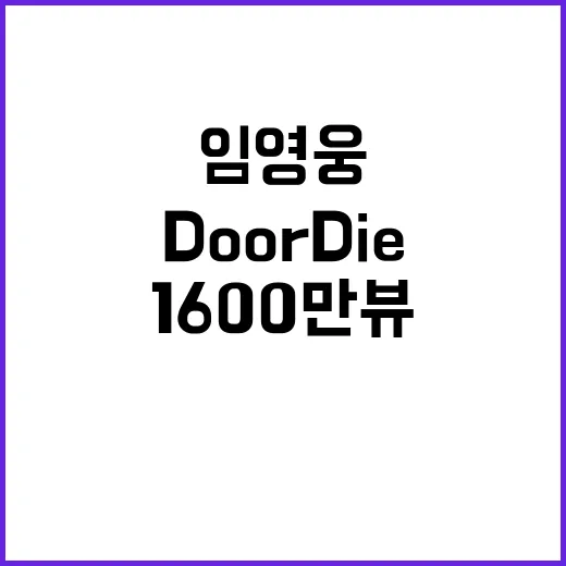 Do or Die 1600만뷰 임영웅의 놀라운 인기!