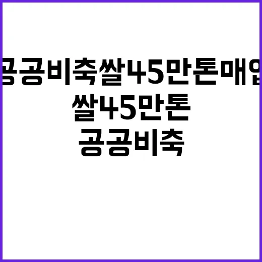 공공비축 쌀 45만 톤 매입 증가 소식!