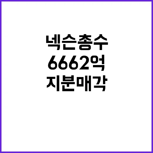 넥슨 총수 6662…