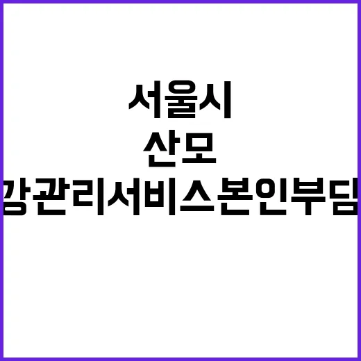 “산모 건강관리서비…