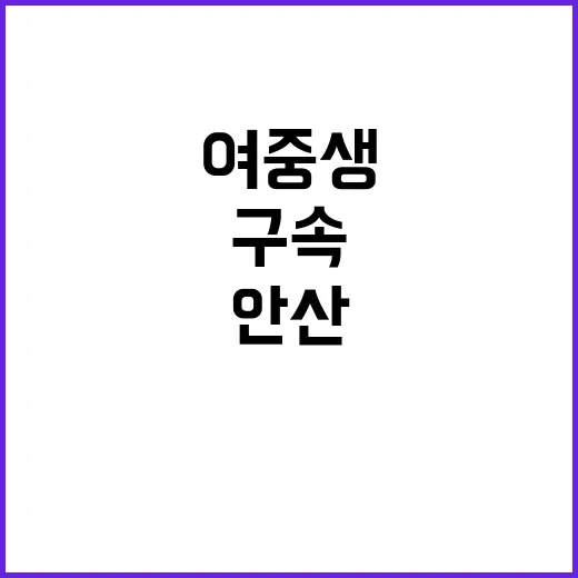 여중생 안산에서 1…