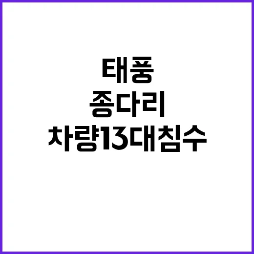 태풍 종다리 차량 …