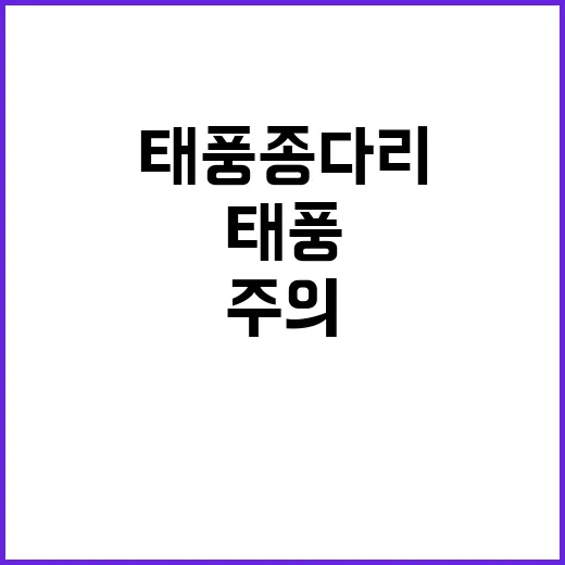 태풍 종다리 한반도…