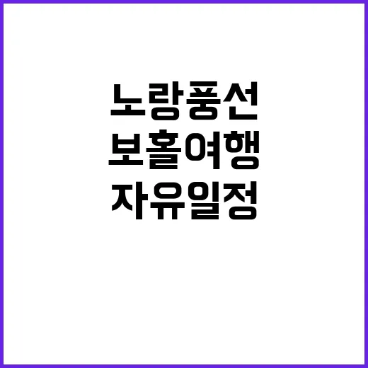 보홀 여행 노랑풍선…