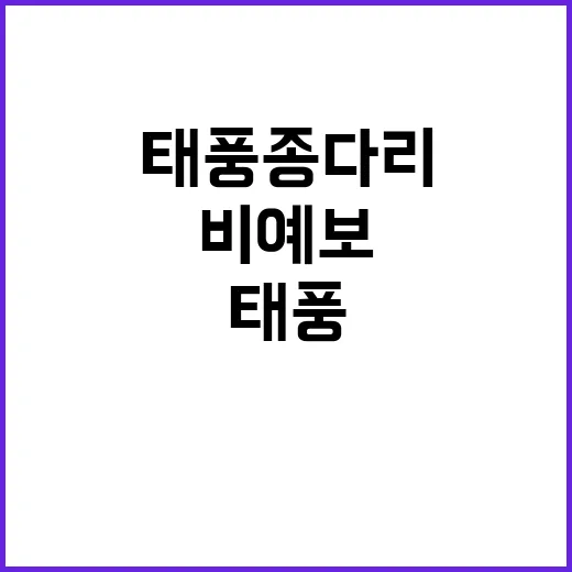 태풍 종다리 강한 …