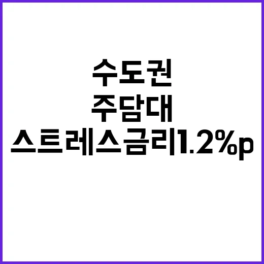 주담대 조임 수도권…