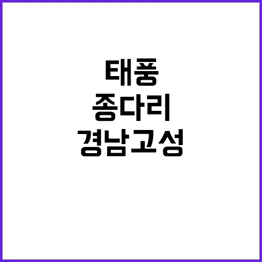 태풍 ‘종다리’ 경남 고성 어선 침수 4명 구조!