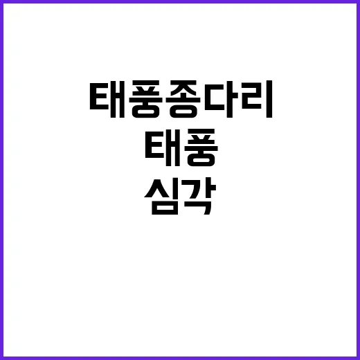 태풍 종다리 영향 나무전도 상황 심각!