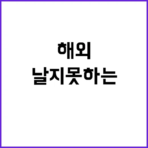 LCC 해외여행 호황 속에서도 날지 못하는 이유!