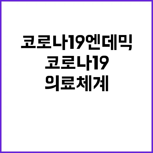 코로나19 엔데믹 의료체계 관리 가능성 제시!