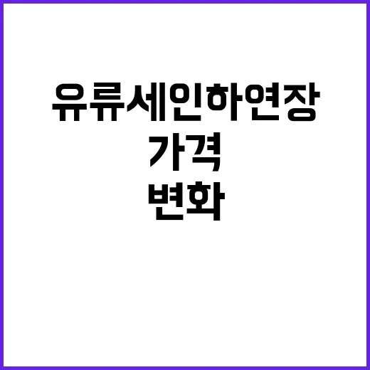 유류세 인하 연장과 가격 변화로 주목!