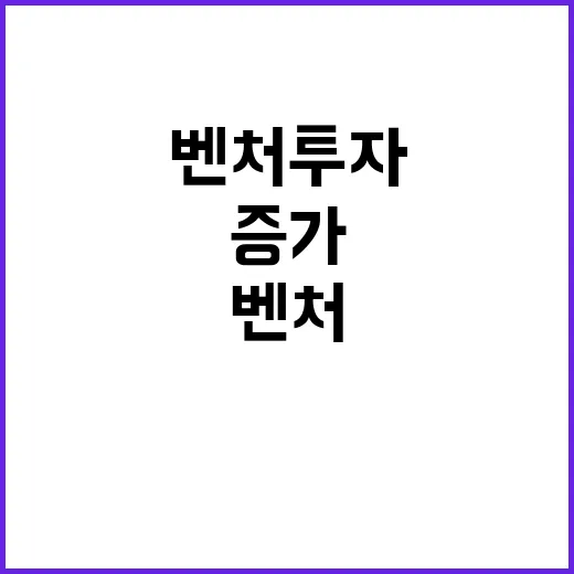 벤처투자 증가 올해 5조 4000억 원 기록!