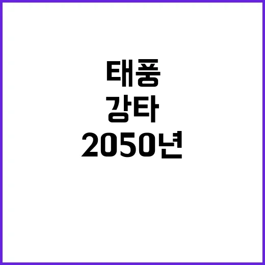 태풍 2050년 한반도 강타 예고! 준비되었나요?