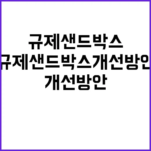 규제샌드박스 개선방…