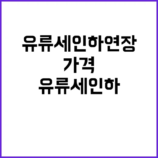 유류세 인하 연장! 국내외 가격 전망은 불확실하다.