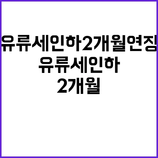 유류세 인하 2개월 연장 결정 발표!