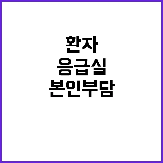 응급실 경증환자 본…