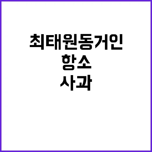 최태원 동거인 사과…