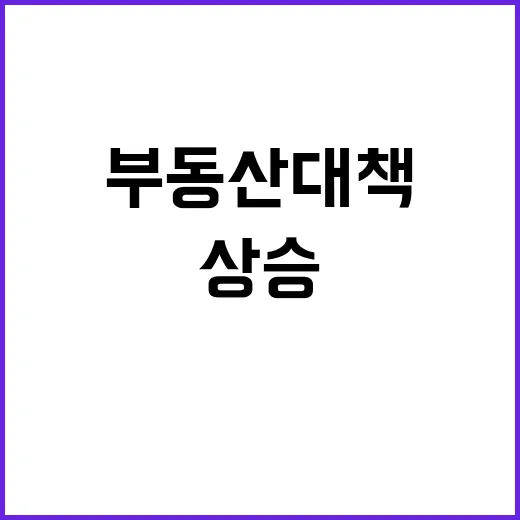 부동산 대책 가격 …