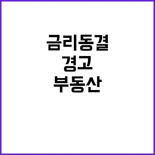 금리 동결 부동산 위기 경고 신호 발생!