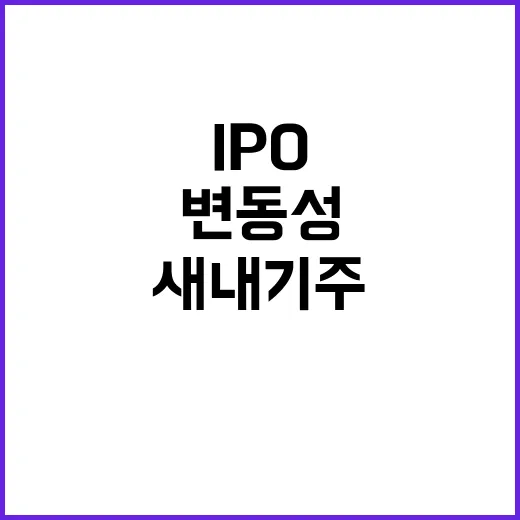 `IPO 새내기주` 변동성 예고 투자자 주의 필요!