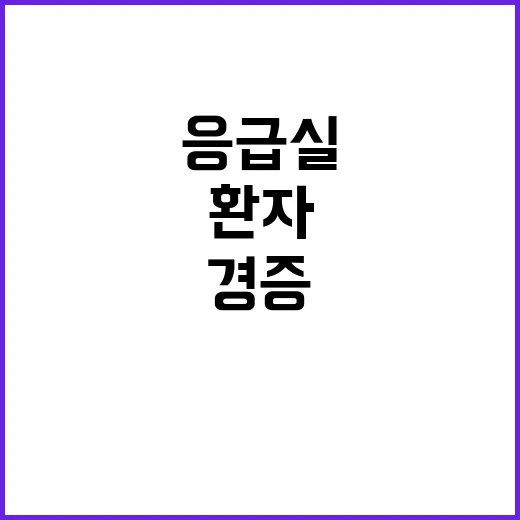 응급실 개편 경증환…