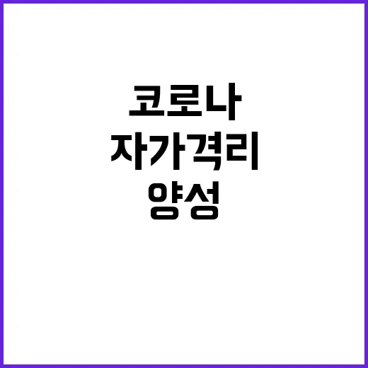 코로나 양성 이재명 자가격리로 문 대통령 일정 변경!