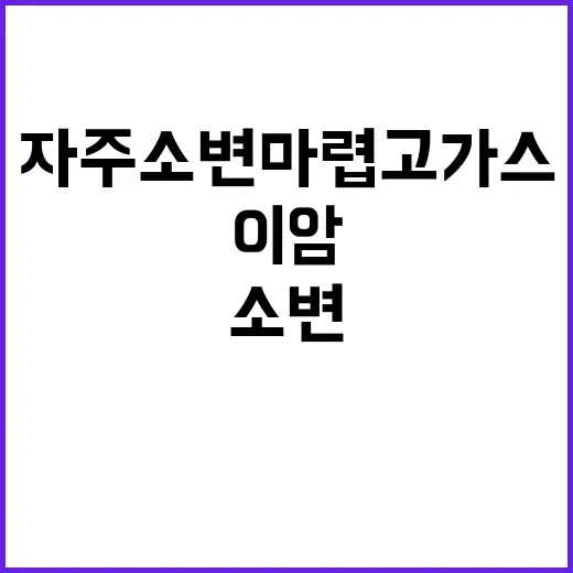 이 암 자주 소변 …