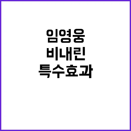 임영웅 공연 특수효…