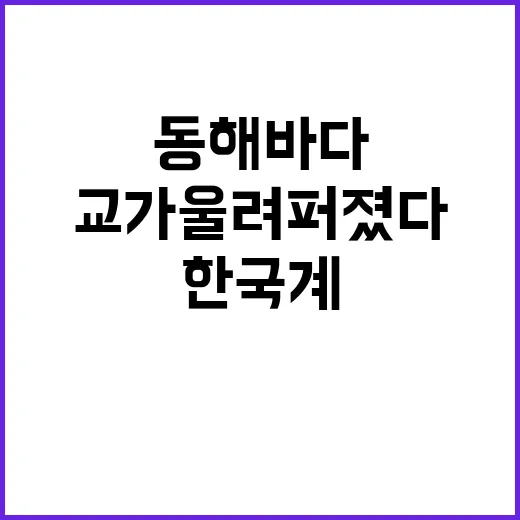 기적 한국계 고교 야구부 동해바다 교가 울려퍼졌다!