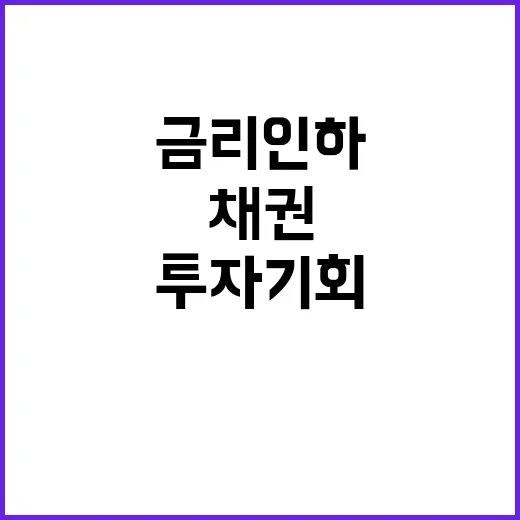 금리인하 채권 상품…