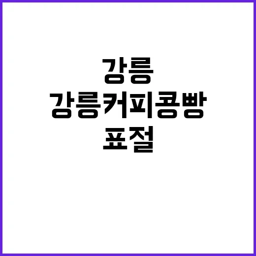 강릉커피콩빵 법원 …