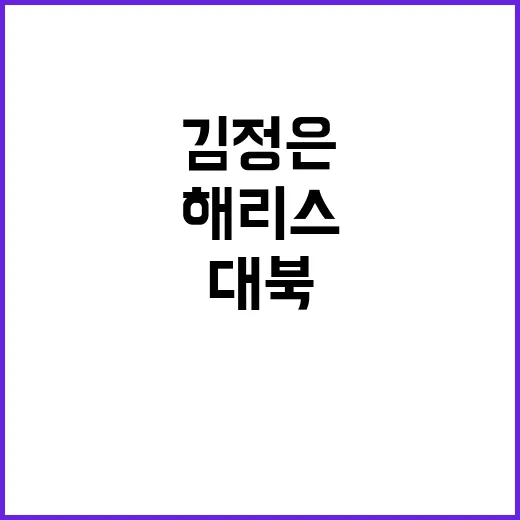 김정은 대북 정책 해리스와 트럼프의 극명한 차이!