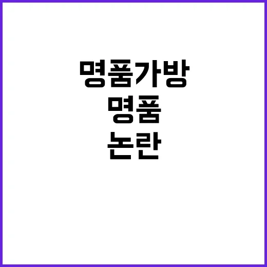 명품가방 논란 국회…