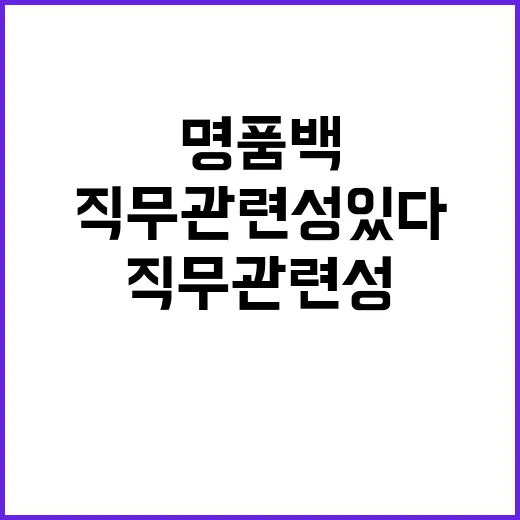 명품백 진술 “청탁·직무관련성 있다” 수심위 신청!