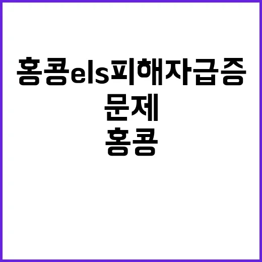 어르신 뱅킹 문제 홍콩 ELS 피해자 급증!