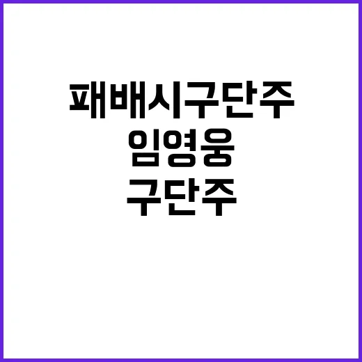 임영웅 패배 시 구…