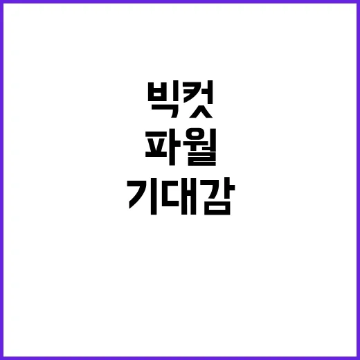 빅컷 기대감…파월도…