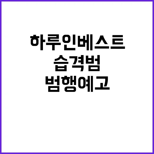 하루인베스트 습격범…