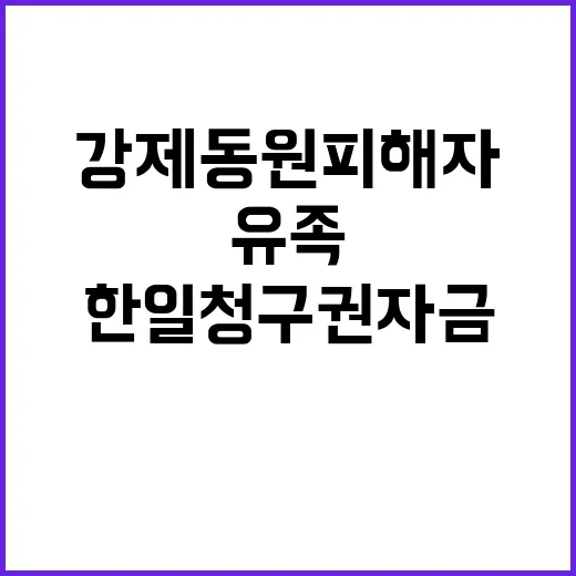 한일청구권자금 강제동원 피해자·유족의 숨은 진실!