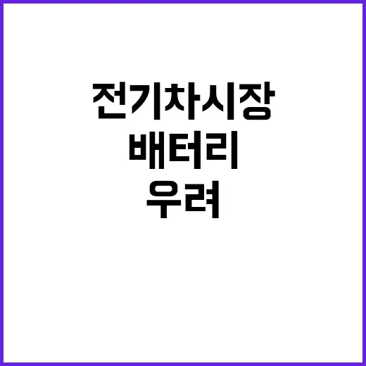 배터리 대기업 차입…